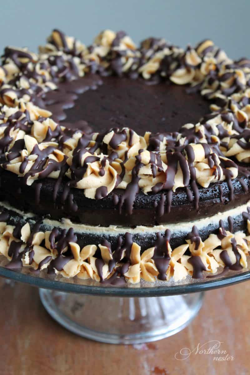 Peanut Butter & Chocolate Low Carb Cake