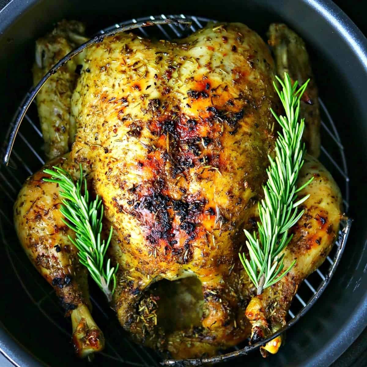 a whole chicken in a Ninja foodi pressure cooker with rosemary sprigs on top