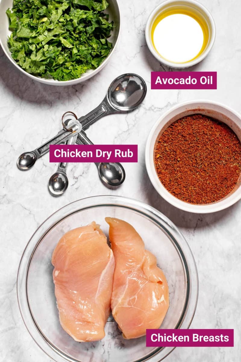 ingredients needed to make chicken breasts in the air fryer with a chicken dry rub