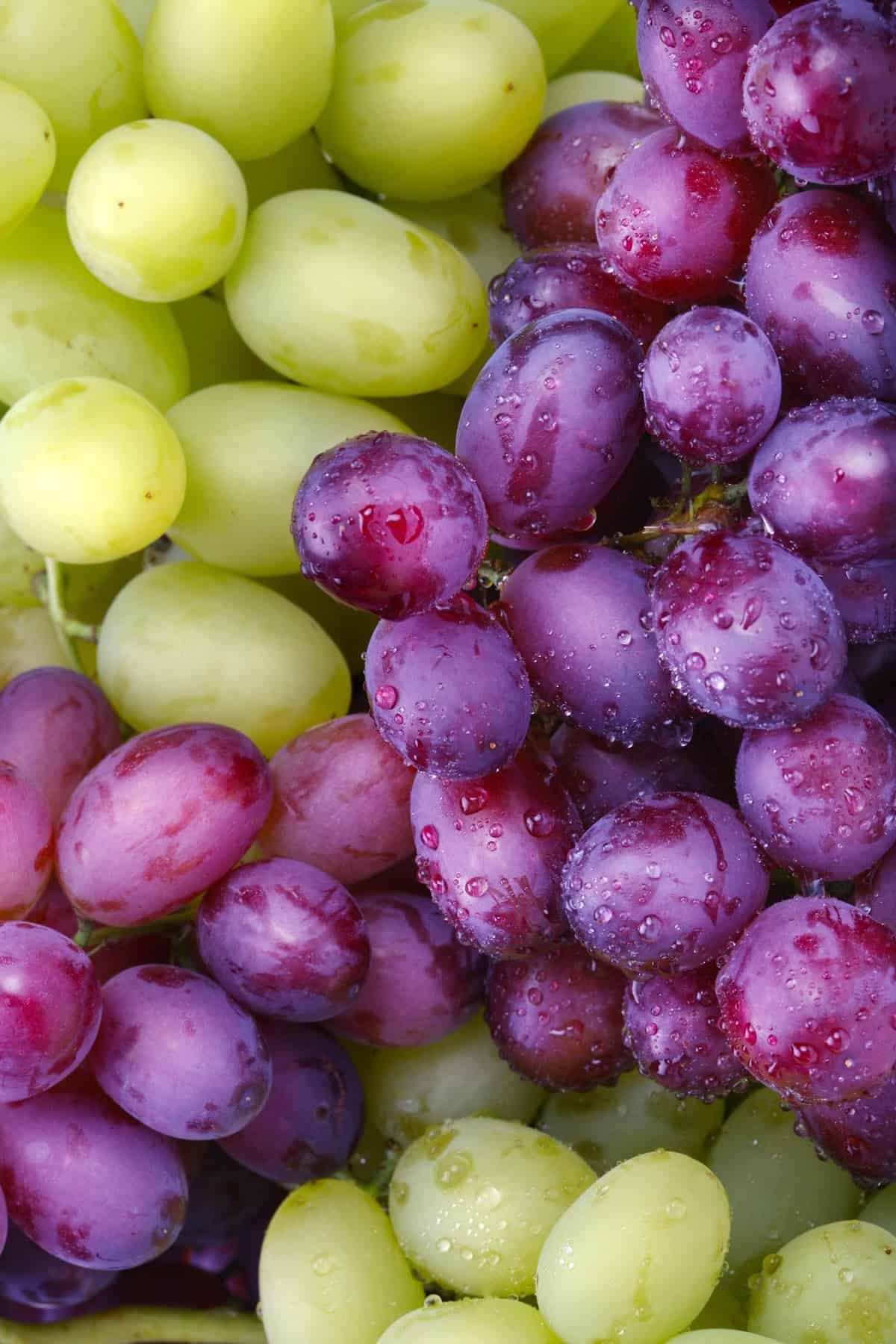 a bunch of green and purple grapes