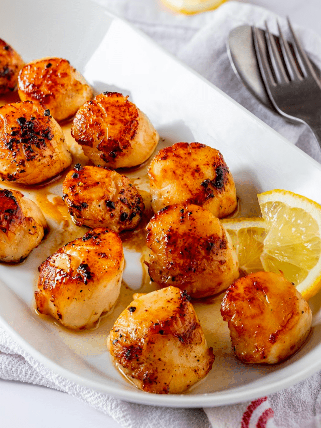 seared scallops