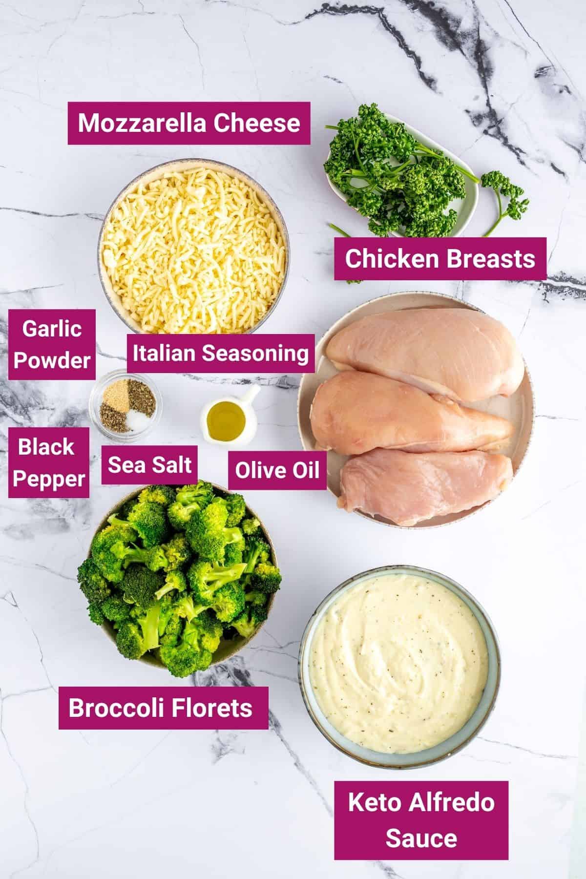 mozzarella cheese, chicken breasts, garlic powder, black pepper, sea salt, olive oil, broccoli and alredo sauce on separate bowls
