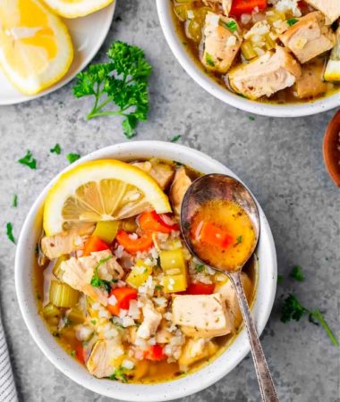 chicken vegetable soup