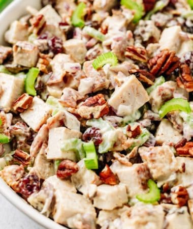 close-up shot of Leftover Turkey Salad