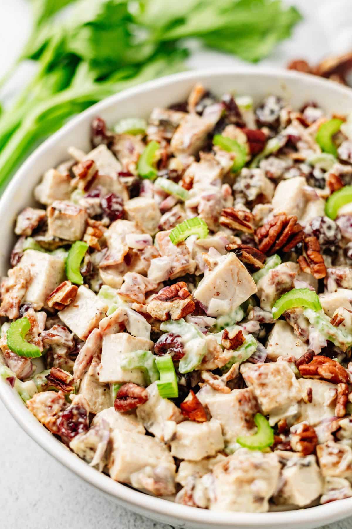 Leftover Turkey Salad with turkey breast and cranberries in a large bowl
