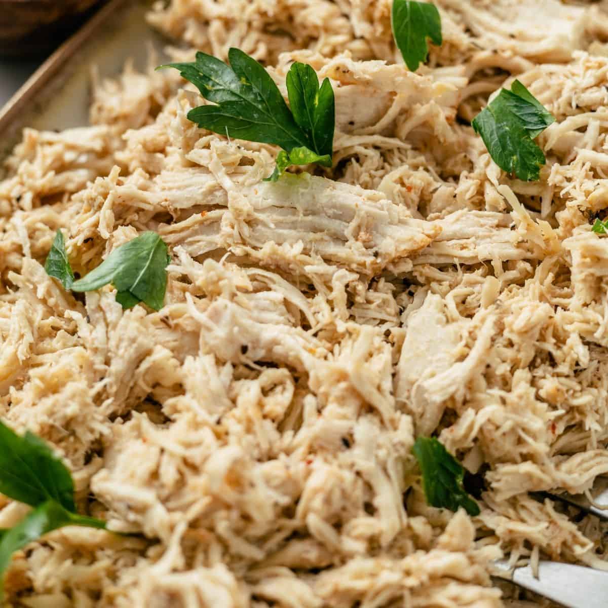 shredded chicken topped with fresh parsley on a serving platter