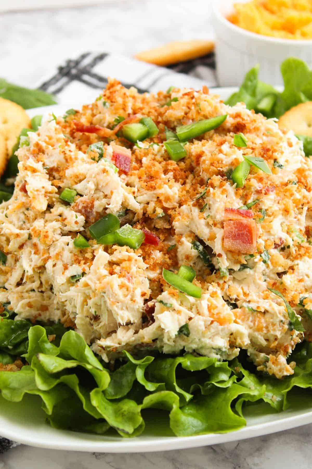 Spicy creamy chicken salad with shredded cheese and golden toasted panko