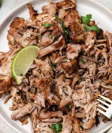 Plated pork carnitas with crispy edges, slow-cooked in citrus, garlic, and spices