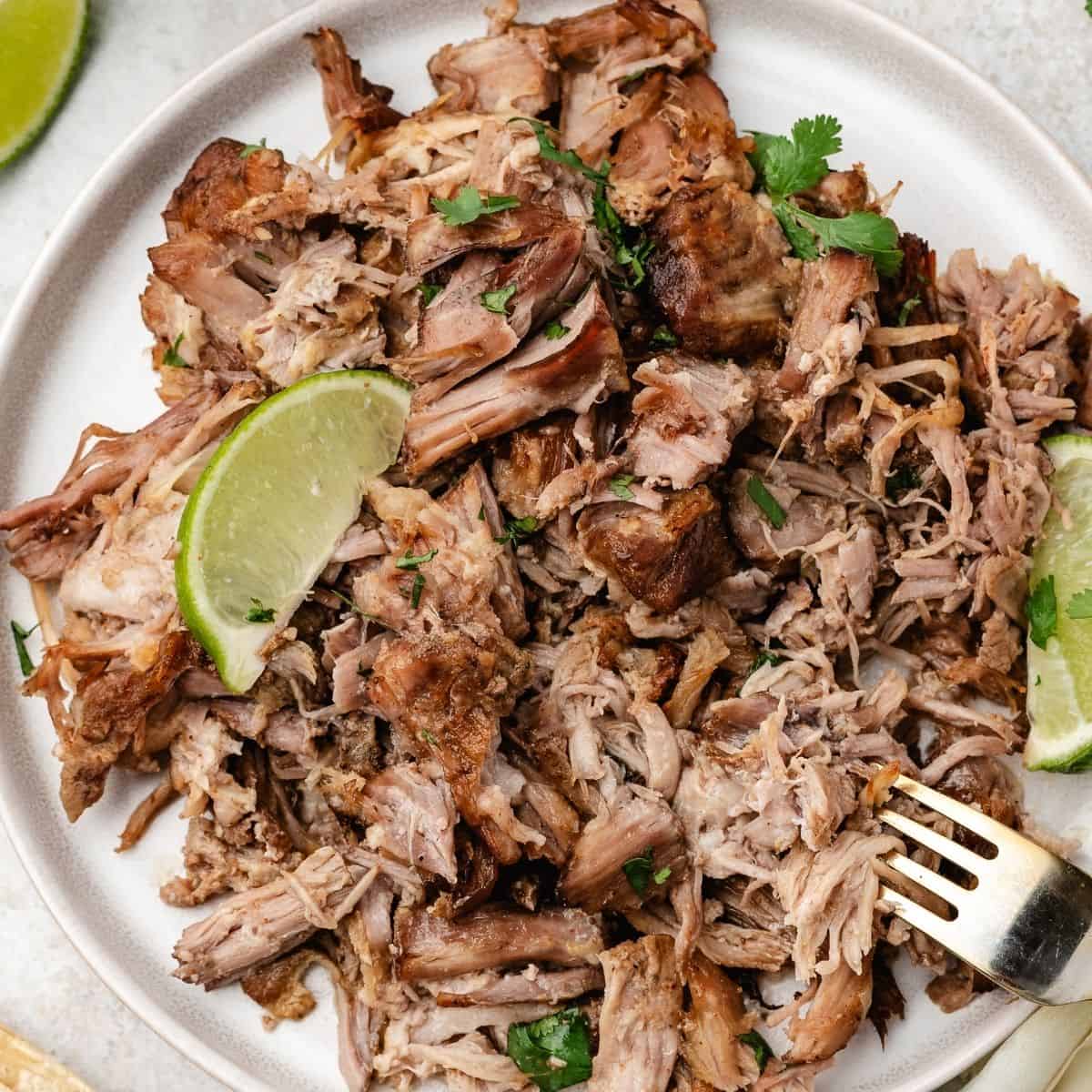 Plated pork carnitas with crispy edges, slow-cooked in citrus, garlic, and spices