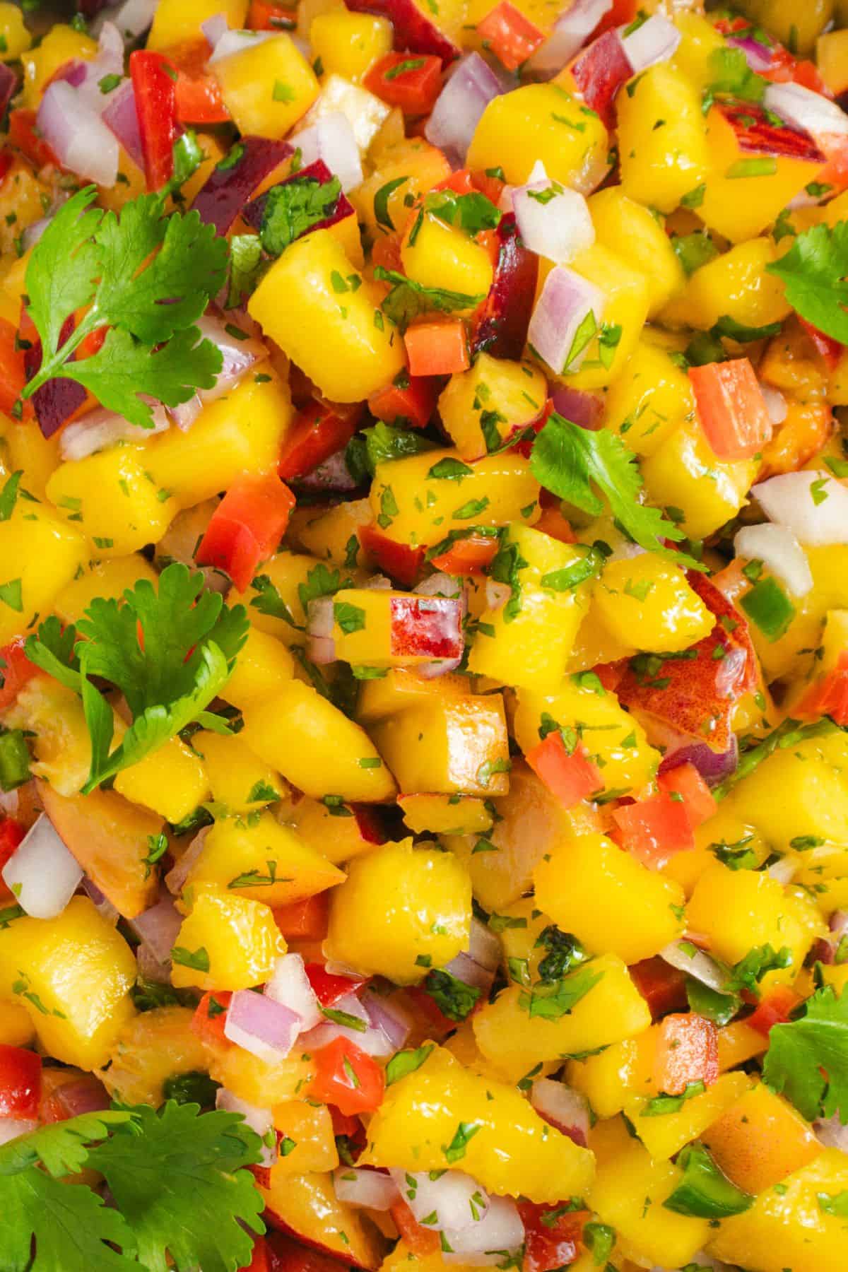 Sweet and tangy mango peach salsa with lime juice and jalape&ntilde;o