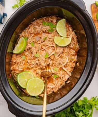 Shredded chicken with fire-roasted tomatoes and green chilies in a slow cooker