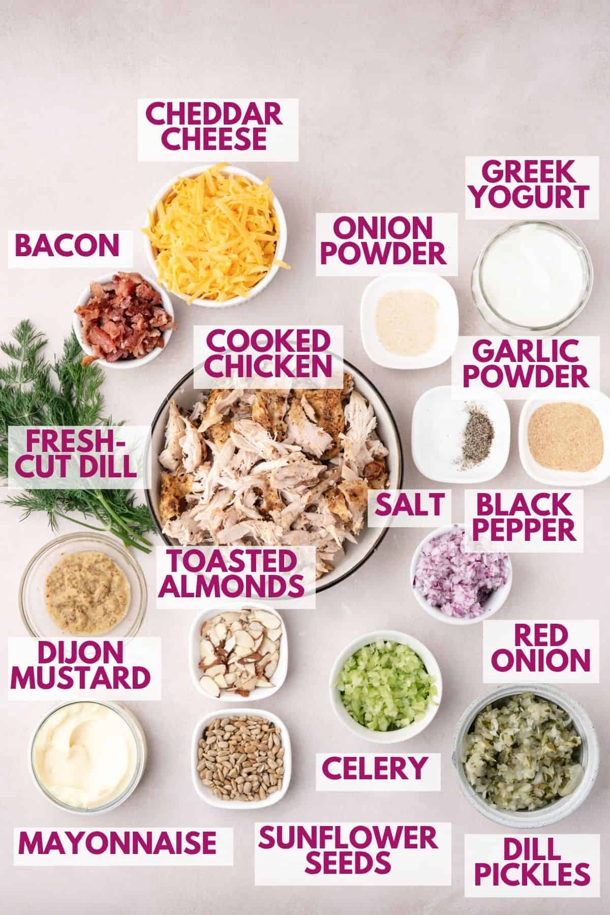 ingredients to make chicken salad with dill pickles