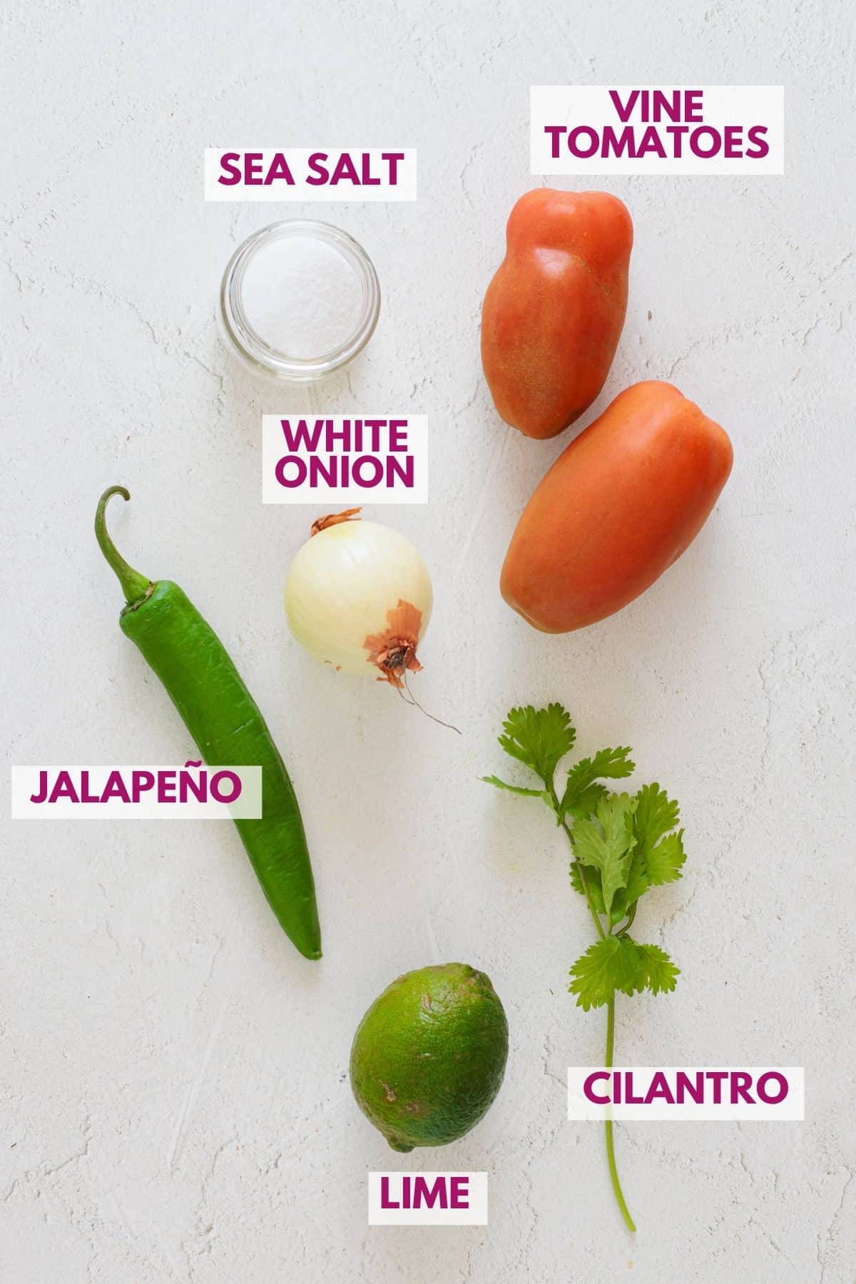 ingredients to make a homemade pico de gallo