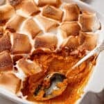 Creamy sweet potato casserole baked with fluffy marshmallows on top