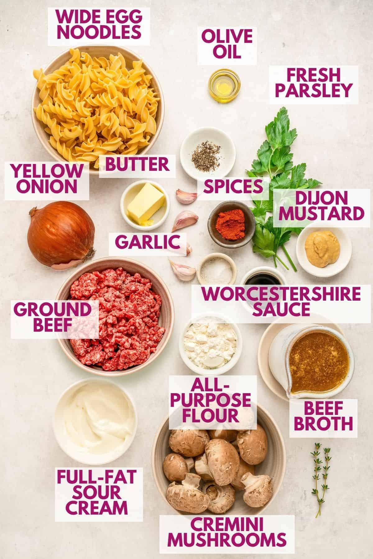 ingredients to make beef stroganoff with ground meat tossed with wide egg noodles in a savory sauce